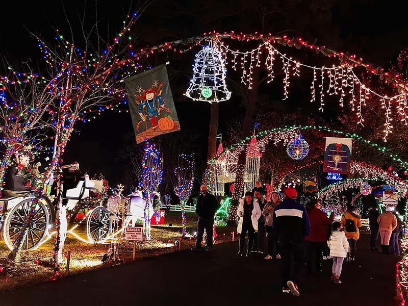 Gullo Christmas Lights