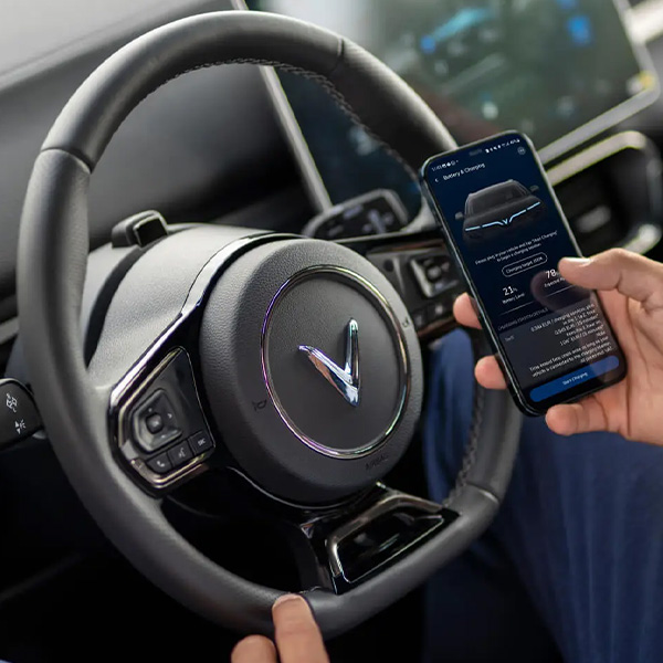 VinFast steering wheel