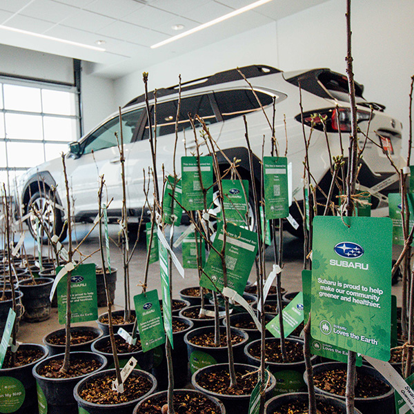 Baxter Auto Community
