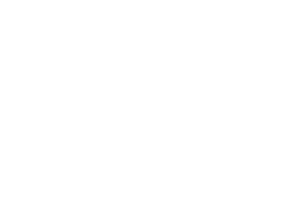 Brakes Icon
