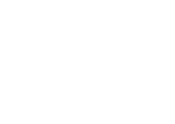 Car icon
