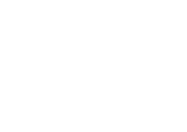 Hand holding a Key Icon