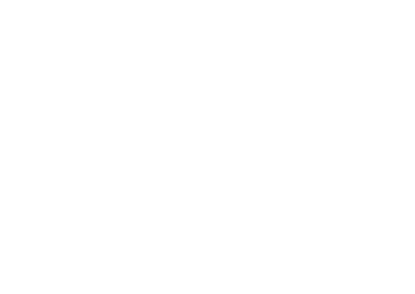 Shield Icon