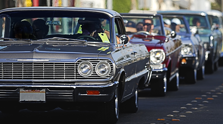 Car Show