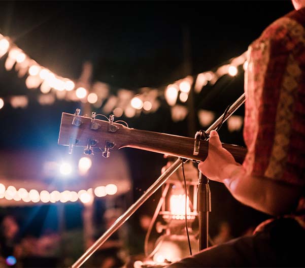 Music Festival image