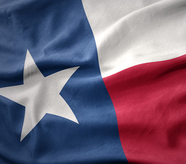 Texas Flag